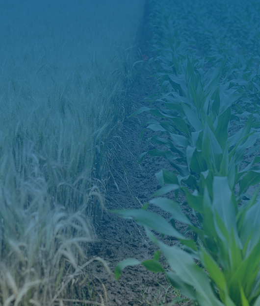 2025國產(chǎn)土壤養(yǎng)分檢測(cè)儀品牌力榜單出爐 云唐領(lǐng)銜行業(yè)創(chuàng)新